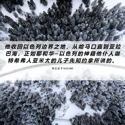 Picture 06 - 列 王 记 下 14:25 CUVS - 他 收 回 以 色 列 边 界 之 地 ， 从 - Bible Verse Picture
