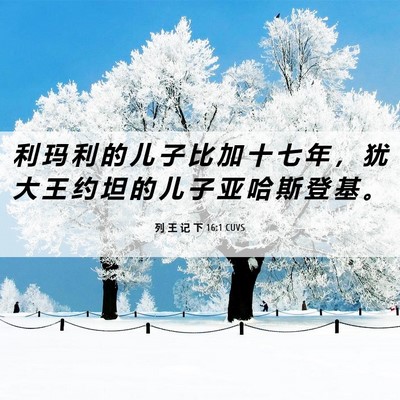 Picture 06 - 列 王 记 下 16:1 CUVS - 利 玛 利 的 儿 子 比 加 十 七 年 ， - Bible Verse Picture