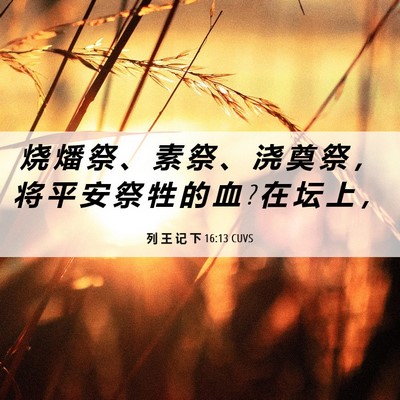 Picture 06 - 列 王 记 下 16:13 CUVS - 烧 燔 祭 、 素 祭 、 浇 奠 祭 ， 将 - Bible Verse Picture