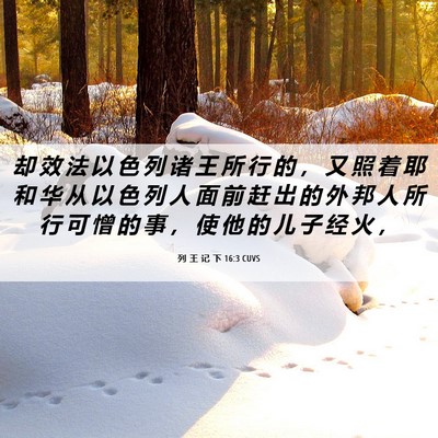 Picture 06 - 列 王 记 下 16:3 CUVS - 却 效 法 以 色 列 诸 王 所 行 的 ， - Bible Verse Picture
