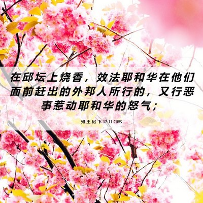 Picture 06 - 列 王 记 下 17:11 CUVS - 在 邱 坛 上 烧 香 ， 效 法 耶 和 华 - Bible Verse Picture