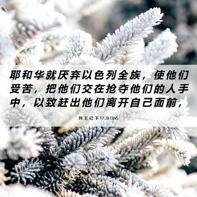 Picture 06 - 列 王 记 下 17:20 CUVS - 耶 和 华 就 厌 弃 以 色 列 全 族 ， - Bible Verse Picture