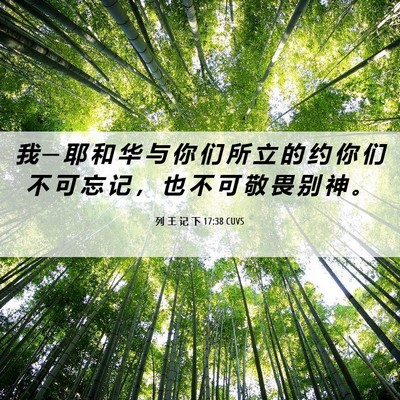 Picture 06 - 列 王 记 下 17:38 CUVS - 我 ─ 耶 和 华 与 你 们 所 立 的 约 - Bible Verse Picture