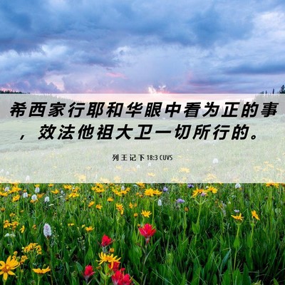 Picture 06 - 列 王 记 下 18:3 CUVS - 希 西 家 行 耶 和 华 眼 中 看 为 正 - Bible Verse Picture