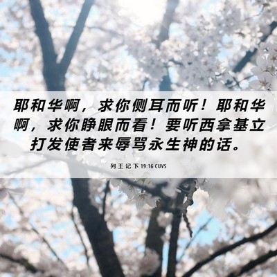 Picture 06 - 列 王 记 下 19:16 CUVS - 耶 和 华 啊 ， 求 你 侧 耳 而 听 ！ - Bible Verse Picture
