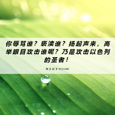 Picture 06 - 列 王 记 下 19:22 CUVS - 你 辱 骂 谁 ？ 亵 渎 谁 ？ 扬 起 声 - Bible Verse Picture