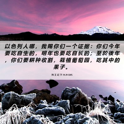 Picture 06 - 列 王 记 下 19:29 CUVS - 以 色 列 人 哪 ， 我 赐 你 们 一 个 - Bible Verse Picture