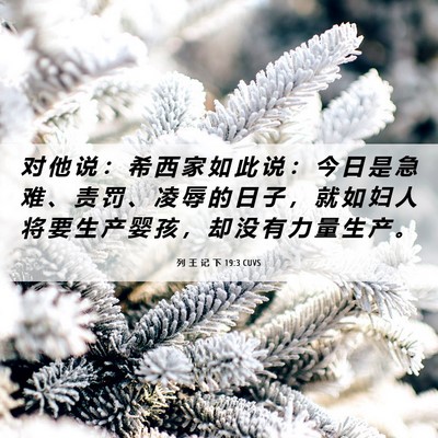 Picture 06 - 列 王 记 下 19:3 CUVS - 对 他 说 ： 希 西 家 如 此 说 ： 今 - Bible Verse Picture