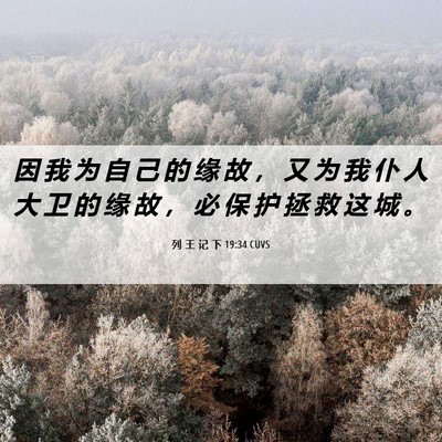 Picture 06 - 列 王 记 下 19:34 CUVS - 因 我 为 自 己 的 缘 故 ， 又 为 我 - Bible Verse Picture