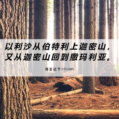 Picture 06 - 列 王 记 下 2:25 CUVS - 以 利 沙 从 伯 特 利 上 迦 密 山 ， - Bible Verse Picture