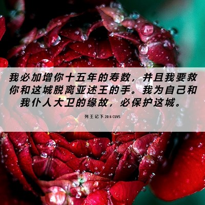 Picture 06 - 列 王 记 下 20:6 CUVS - 我 必 加 增 你 十 五 年 的 寿 数 ， - Bible Verse Picture