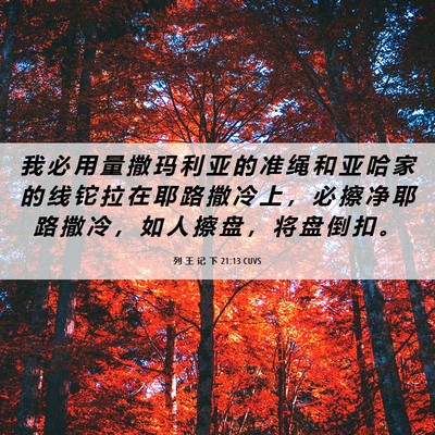Picture 06 - 列 王 记 下 21:13 CUVS - 我 必 用 量 撒 玛 利 亚 的 准 绳 和 - Bible Verse Picture