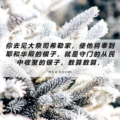 Picture 06 - 列 王 记 下 22:4 CUVS - 你 去 见 大 祭 司 希 勒 家 ， 使 他 - Bible Verse Picture