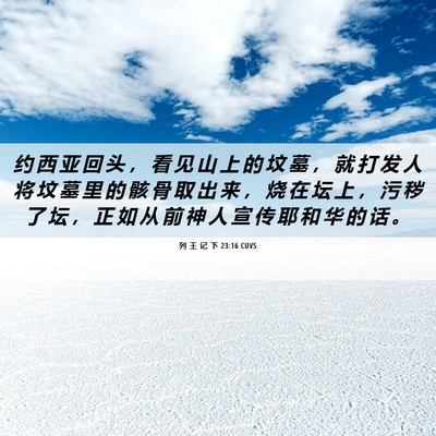 Picture 06 - 列 王 记 下 23:16 CUVS - 约 西 亚 回 头 ， 看 见 山 上 的 坟 - Bible Verse Picture