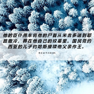 Picture 06 - 列 王 记 下 23:30 CUVS - 他 的 臣 仆 用 车 将 他 的 尸 首 从 - Bible Verse Picture
