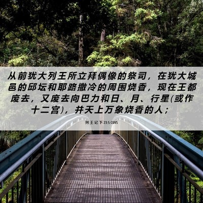 Picture 06 - 列 王 记 下 23:5 CUVS - 从 前 犹 大 列 王 所 立 拜 偶 像 的 - Bible Verse Picture