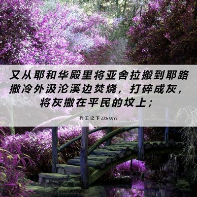 Picture 06 - 列 王 记 下 23:6 CUVS - 又 从 耶 和 华 殿 里 将 亚 舍 拉 搬 - Bible Verse Picture