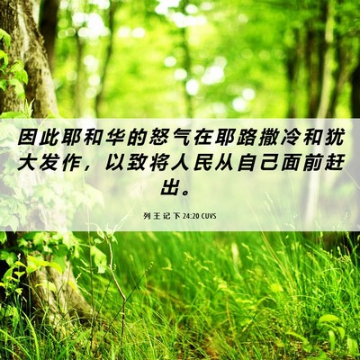 Picture 06 - 列 王 记 下 24:20 CUVS - 因 此 耶 和 华 的 怒 气 在 耶 路 撒 - Bible Verse Picture