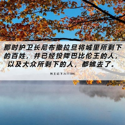 Picture 06 - 列 王 记 下 25:11 CUVS - 那 时 护 卫 长 尼 布 撒 拉 旦 将 城 - Bible Verse Picture