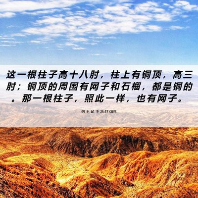 Picture 06 - 列 王 记 下 25:17 CUVS - 这 一 根 柱 子 高 十 八 肘 ， 柱 上 - Bible Verse Picture