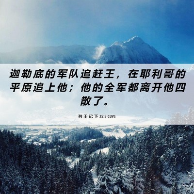 Picture 06 - 列 王 记 下 25:5 CUVS - 迦 勒 底 的 军 队 追 赶 王 ， 在 耶 - Bible Verse Picture