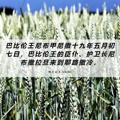 Picture 06 - 列 王 记 下 25:8 CUVS - 巴 比 伦 王 尼 布 甲 尼 撒 十 九 年 - Bible Verse Picture