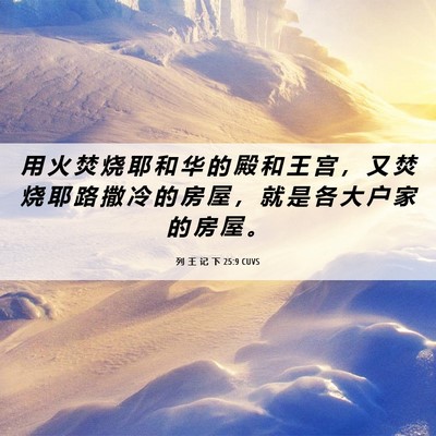 Picture 06 - 列 王 记 下 25:9 CUVS - 用 火 焚 烧 耶 和 华 的 殿 和 王 宫 - Bible Verse Picture