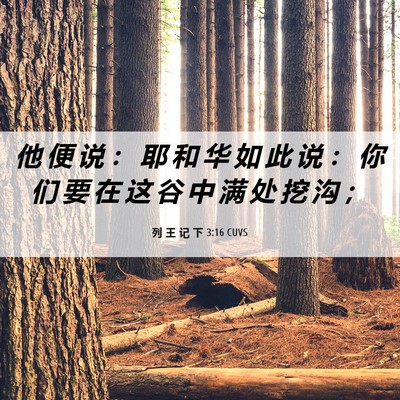 Picture 06 - 列 王 记 下 3:16 CUVS - 他 便 说 ： 耶 和 华 如 此 说 ： 你 - Bible Verse Picture