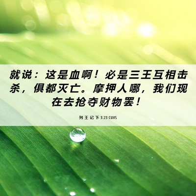 Picture 06 - 列 王 记 下 3:23 CUVS - 就 说 ： 这 是 血 啊 ！ 必 是 三 王 - Bible Verse Picture