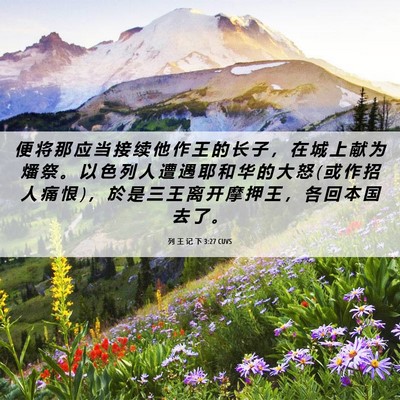 Picture 06 - 列 王 记 下 3:27 CUVS - 便 将 那 应 当 接 续 他 作 王 的 长 - Bible Verse Picture