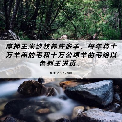 Picture 06 - 列 王 记 下 3:4 CUVS - 摩 押 王 米 沙 牧 养 许 多 羊 ， 每 - Bible Verse Picture