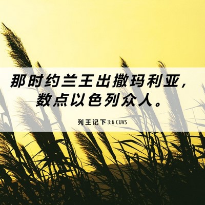 Picture 06 - 列 王 记 下 3:6 CUVS - 那 时 约 兰 王 出 撒 玛 利 亚 ， 数 - Bible Verse Picture