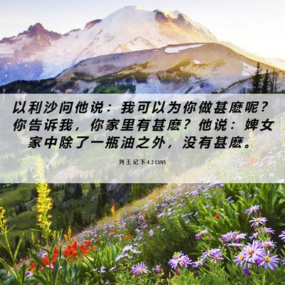 Picture 06 - 列 王 记 下 4:2 CUVS - 以 利 沙 问 他 说 ： 我 可 以 为 你 - Bible Verse Picture