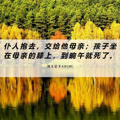 Picture 06 - 列 王 记 下 4:20 CUVS - 仆 人 抱 去 ， 交 给 他 母 亲 ； 孩 - Bible Verse Picture