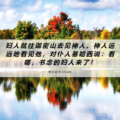 Picture 06 - 列 王 记 下 4:25 CUVS - 妇 人 就 往 迦 密 山 去 见 神 人 。 - Bible Verse Picture