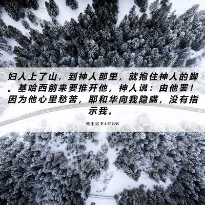 Picture 06 - 列 王 记 下 4:27 CUVS - 妇 人 上 了 山 ， 到 神 人 那 里 ， - Bible Verse Picture
