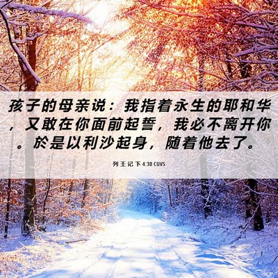 Picture 06 - 列 王 记 下 4:30 CUVS - 孩 子 的 母 亲 说 ： 我 指 着 永 生 - Bible Verse Picture