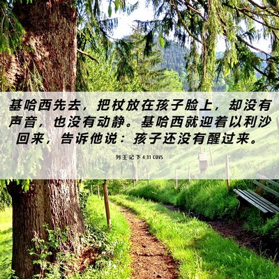 Picture 06 - 列 王 记 下 4:31 CUVS - 基 哈 西 先 去 ， 把 杖 放 在 孩 子 - Bible Verse Picture