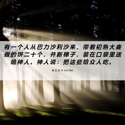 Picture 06 - 列 王 记 下 4:42 CUVS - 有 一 个 人 从 巴 力 沙 利 沙 来 ， - Bible Verse Picture