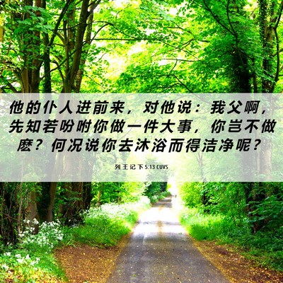 Picture 06 - 列 王 记 下 5:13 CUVS - 他 的 仆 人 进 前 来 ， 对 他 说 ： - Bible Verse Picture