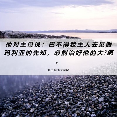 Picture 06 - 列 王 记 下 5:3 CUVS - 他 对 主 母 说 ： 巴 不 得 我 主 人 - Bible Verse Picture