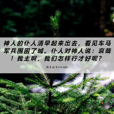 Picture 06 - 列 王 记 下 6:15 CUVS - 神 人 的 仆 人 清 早 起 来 出 去 ， - Bible Verse Picture