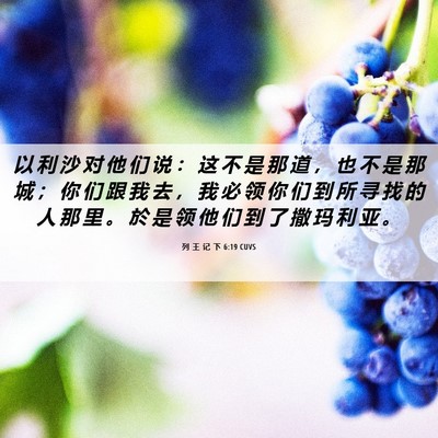 Picture 06 - 列 王 记 下 6:19 CUVS - 以 利 沙 对 他 们 说 ： 这 不 是 那 - Bible Verse Picture