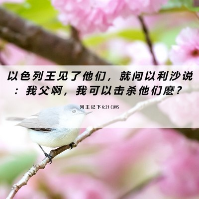 Picture 06 - 列 王 记 下 6:21 CUVS - 以 色 列 王 见 了 他 们 ， 就 问 以 - Bible Verse Picture