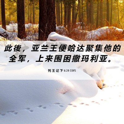 Picture 06 - 列 王 记 下 6:24 CUVS - 此 後 ， 亚 兰 王 便 哈 达 聚 集 他 - Bible Verse Picture