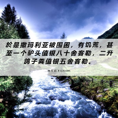 Picture 06 - 列 王 记 下 6:25 CUVS - 於 是 撒 玛 利 亚 被 围 困 ， 有 饥 - Bible Verse Picture