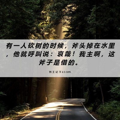 Picture 06 - 列 王 记 下 6:5 CUVS - 有 一 人 砍 树 的 时 候 ， 斧 头 掉 - Bible Verse Picture