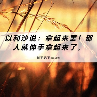Picture 06 - 列 王 记 下 6:7 CUVS - 以 利 沙 说 ： 拿 起 来 罢 ！ 那 人 - Bible Verse Picture