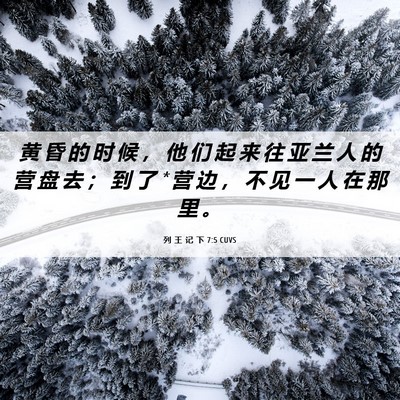 Picture 06 - 列 王 记 下 7:5 CUVS - 黄 昏 的 时 候 ， 他 们 起 来 往 亚 - Bible Verse Picture