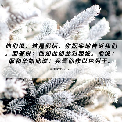 Picture 06 - 列 王 记 下 9:12 CUVS - 他 们 说 ： 这 是 假 话 ， 你 据 实 - Bible Verse Picture